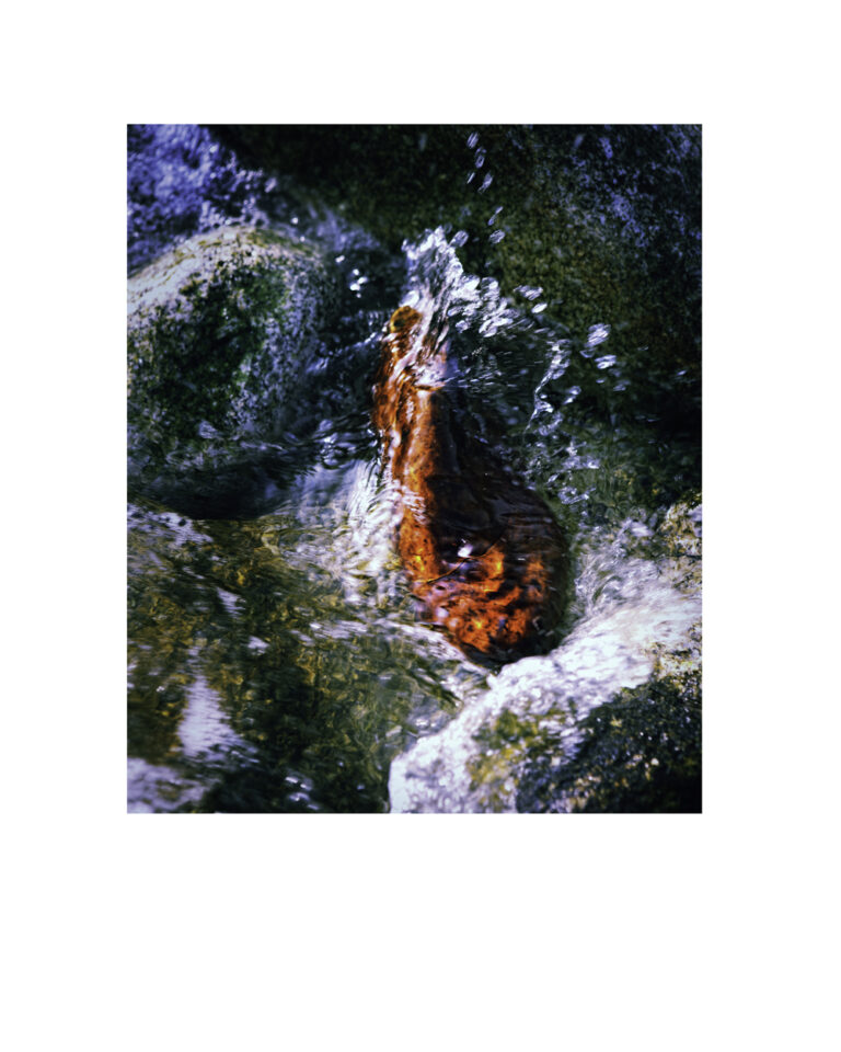 horma de mar